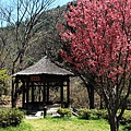 20100228_003cha.jpg