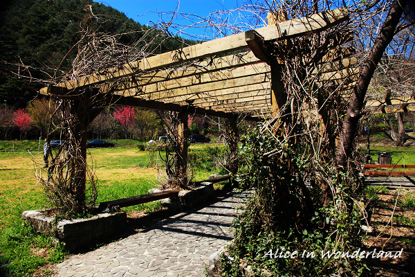 20100228_030cha.jpg 20100228_030cha.jpg