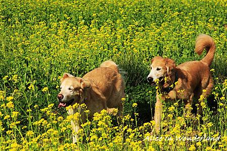 20100228_092cha.jpg 20100228_092cha.jpg