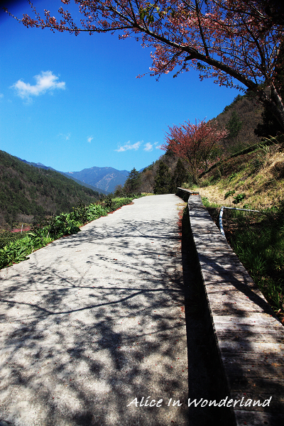 20100301_066cha.jpg 20100301_066cha.jpg