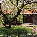 20100314_090cha.jpg