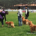 20100321_085cha.jpg