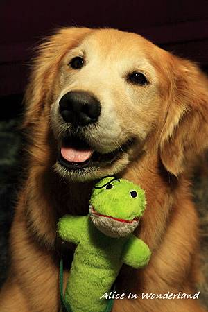 IMG_6278cha.jpg IMG_6278cha.jpg