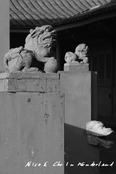 20101225_404tifcha.jpg 20101225_404tifcha.jpg