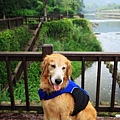 20100620_002cha.jpg