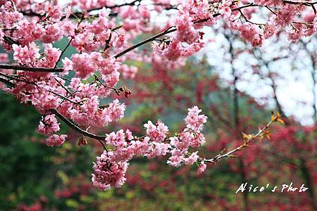 20110224_105cha.jpg 20110224_105cha.jpg