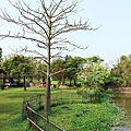 20110409_288cha.jpg