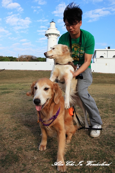 20101219_178cha.jpg 20101219_178cha.jpg