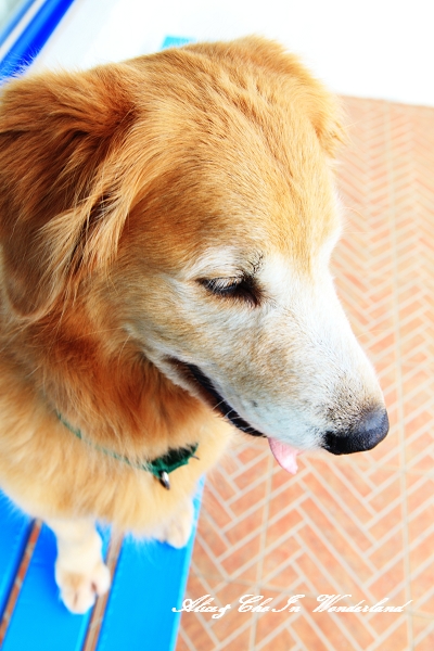 20100418_164cha.jpg 20100418_164cha.jpg