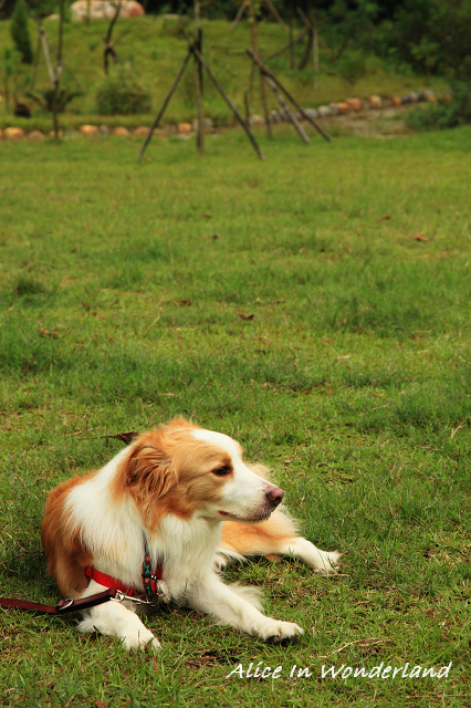201011107_113cha.jpg 201011107_113cha.jpg