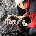 20110409_021cha.jpg