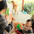 20110409_170cha.jpg