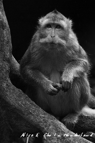 20110115_067tifcha.jpg 20110115_067tifcha.jpg
