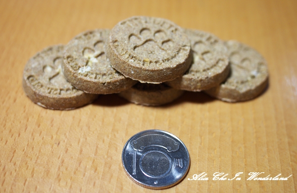 20110109_GF044cha.jpg 20110109_GF044cha.jpg