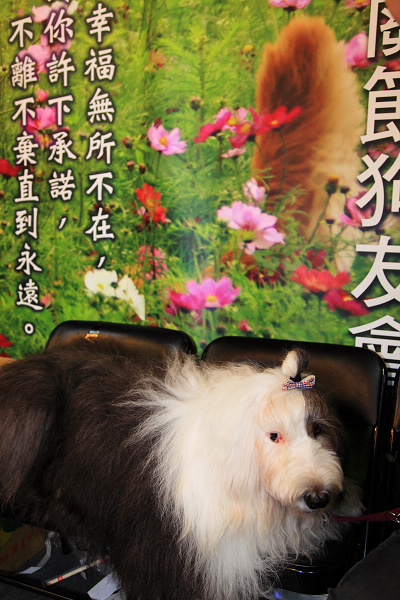 20100719_031cha.jpg