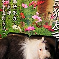 20100719_031cha.jpg