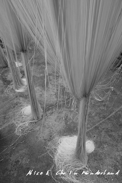 20101225_245tifcha.jpg 20101225_245tifcha.jpg