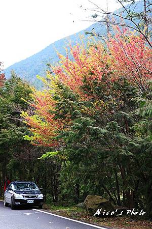 20110224_087cha.jpg 20110224_087cha.jpg