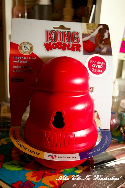 20101222_GF004cha.jpg 20101222_GF004cha.jpg