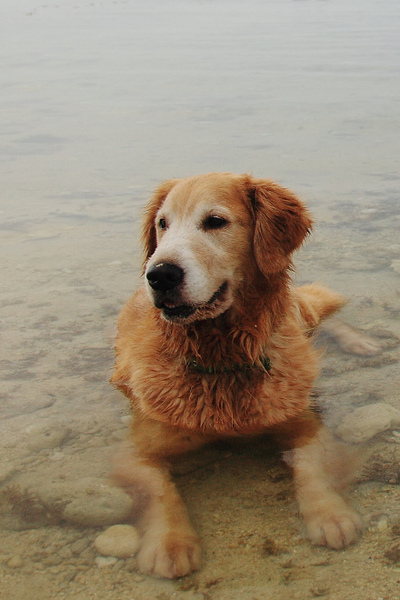 20100418_094cha.jpg 20100418_094cha.jpg