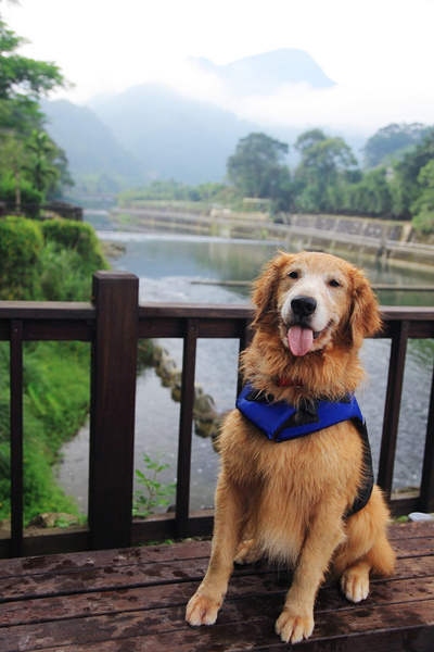 20100620_005cha.jpg 20100620_005cha.jpg