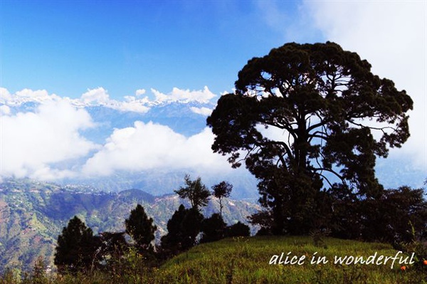 20090927_098chac.jpg 20090927_098chac.jpg