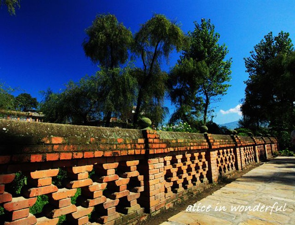 20090928_194cha.jpg 20090928_194cha.jpg