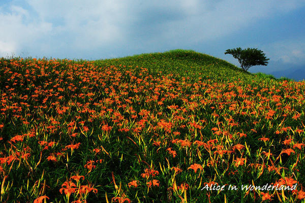 20090830_095cha.jpg 20090830_095cha.jpg