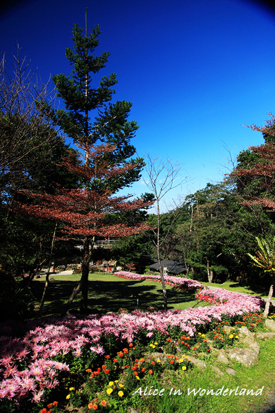 20101213_044cha.jpg 20101213_044cha.jpg