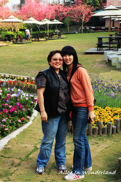 2010202_124cha.jpg 2010202_124cha.jpg