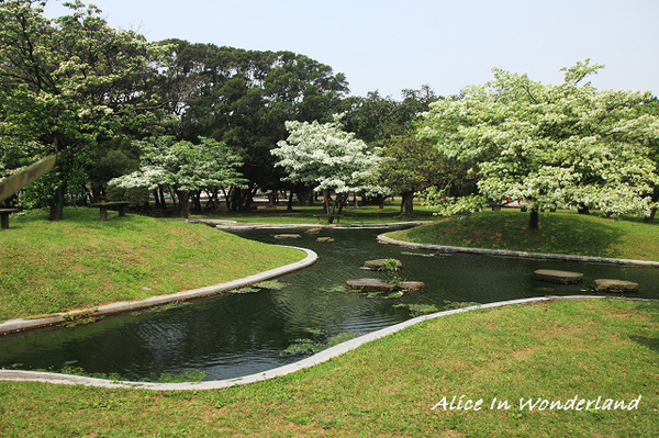 20100321_003cha.jpg 20100321_003cha.jpg