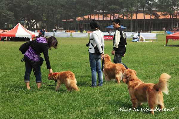 20100321_085cha.jpg 20100321_085cha.jpg