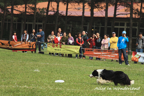 20100321_104cha.jpg 20100321_104cha.jpg