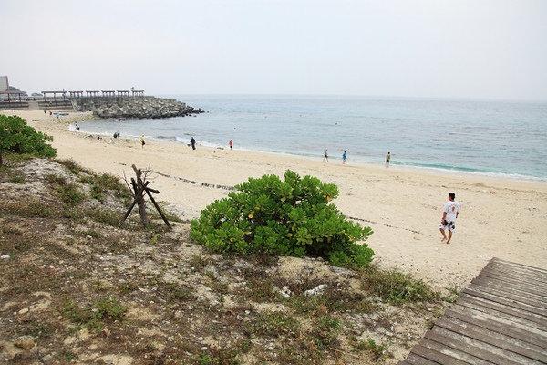 20100418_001cha.jpg 20100418_001cha.jpg