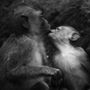 20110115_207tifcha.jpg 20110115_207tifcha.jpg