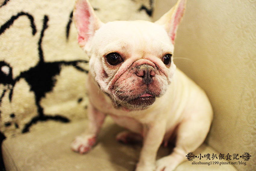 IMG_0551 IMG_0551