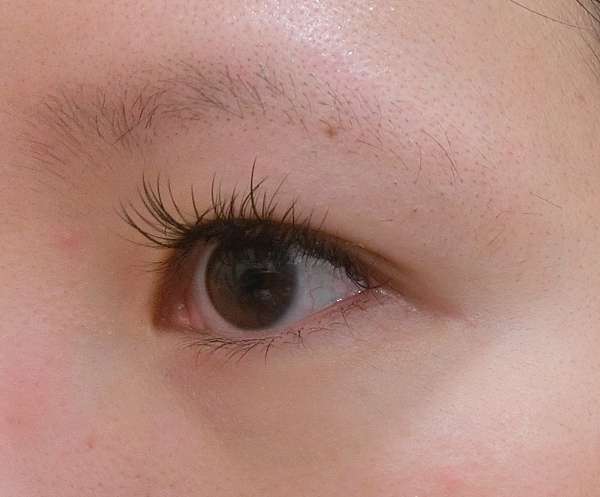 分享 關於睫毛和眉毛x兩款比較 Dhc全效亮眼護睫精華 Shiseido甦活睫毛精華液 Alice 艾麗絲的奇幻天地 痞客邦