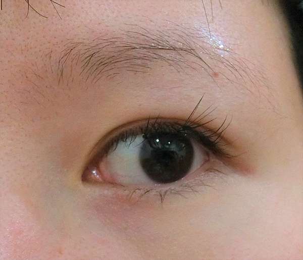 分享 關於睫毛和眉毛x兩款比較 Dhc全效亮眼護睫精華 Shiseido甦活睫毛精華液 Alice 艾麗絲的奇幻天地 痞客邦