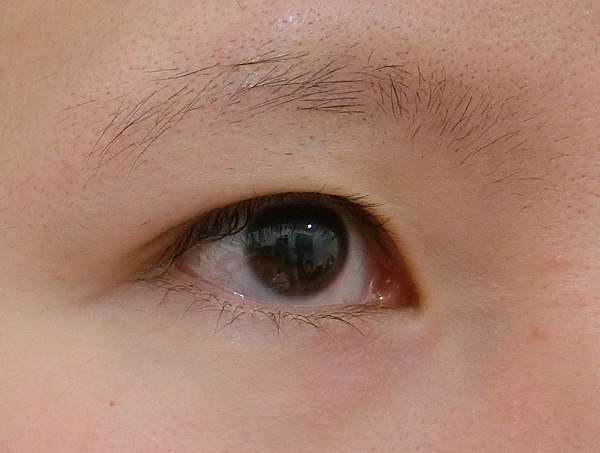 分享 關於睫毛和眉毛x兩款比較 Dhc全效亮眼護睫精華 Shiseido甦活睫毛精華液 Alice 艾麗絲的奇幻天地 痞客邦