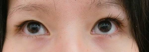 分享 關於睫毛和眉毛x兩款比較 Dhc全效亮眼護睫精華 Shiseido甦活睫毛精華液 Alice 艾麗絲的奇幻天地 痞客邦