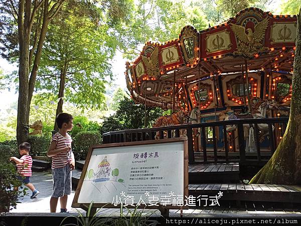 IMG_20200801_110037.jpg IMG_20200801_110037.jpg