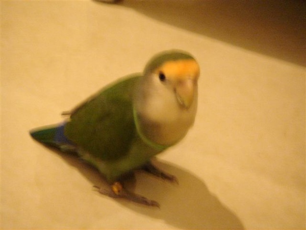 2009-03-01 2009-03-01