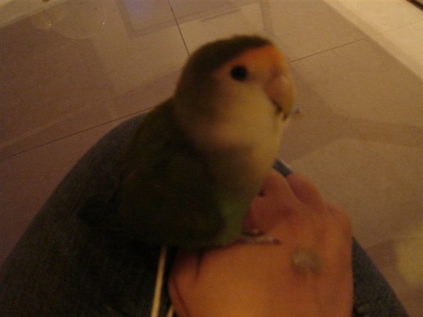 2009-03-01 2009-03-01