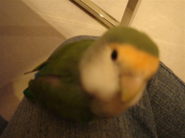 2009-03-01 2009-03-01