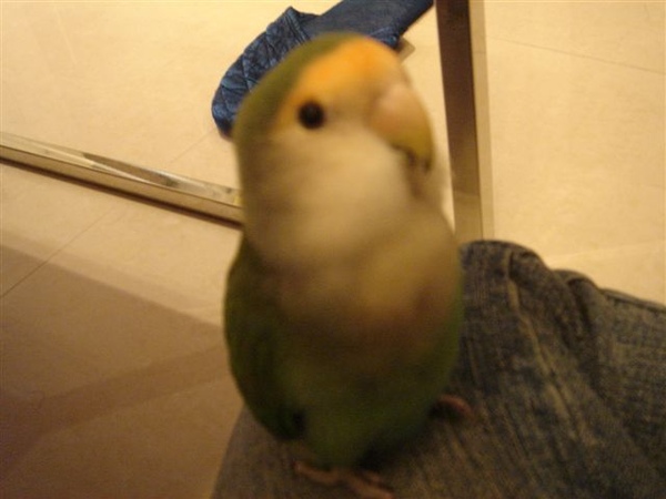 2009-03-01 2009-03-01