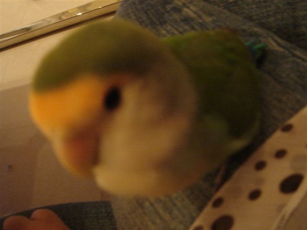2009-03-01 2009-03-01
