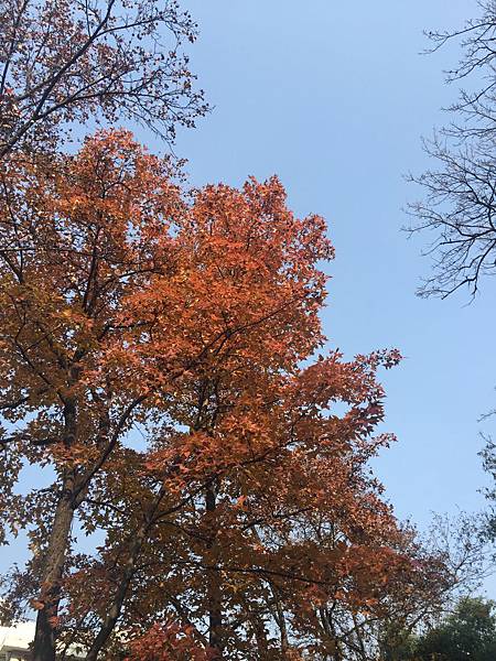 IMG_4035.JPG IMG_4035.JPG
