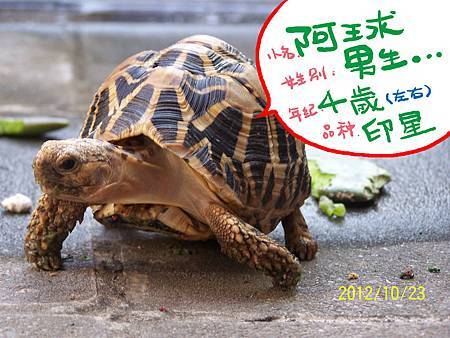 100_197887拷貝 100_197887拷貝