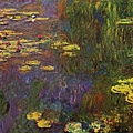 monet-nympheas.jpg