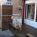 DSC02393_調整大小(001).jpg